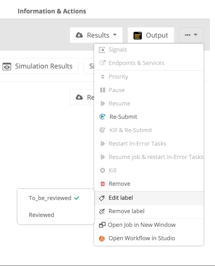 workflow execution